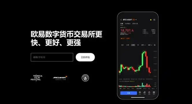 okpay币下载页面展示